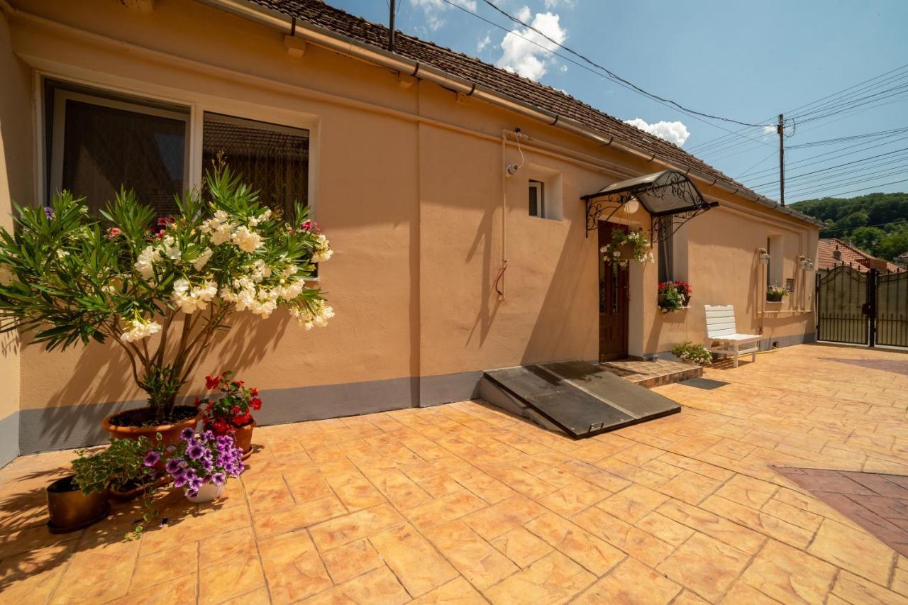 Nice&Cozy Apartament Sighisoara Exterior photo
